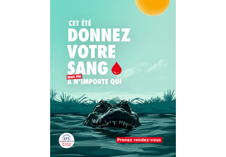 Ete Crocodile CarréIG DonDeSang